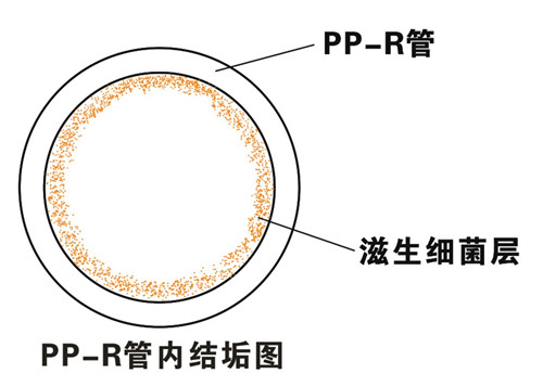 PP-R滲氧，易滋生細菌，有異味；腐蝕金屬連接件，降低使用壽命