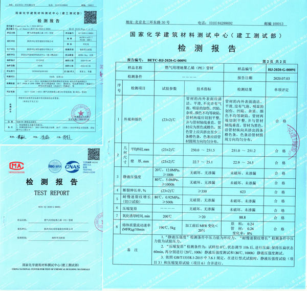 “興紀(jì)龍管道”燃?xì)鈾z測報(bào)告